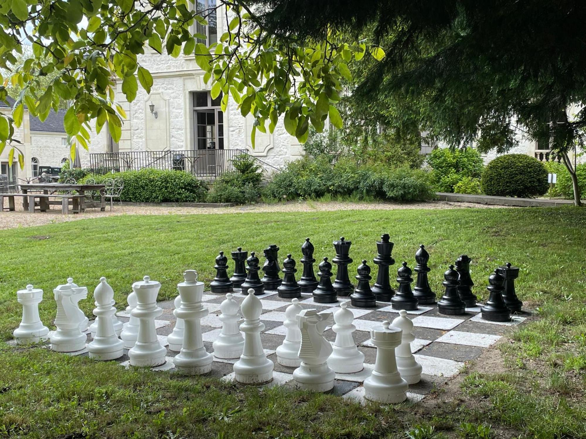 Chateau De La Coutanciere Brain-sur-Allonnes Екстериор снимка